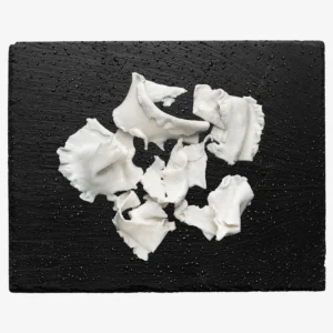 callos-desalados-cenital-